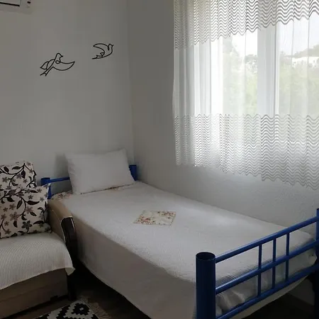 Begonvilli Ev *